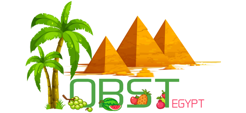 OBST EGYPT Logo